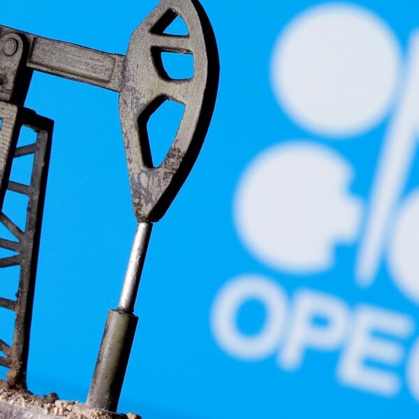 OPEC says oil trade unjustly vilified forward of COP28