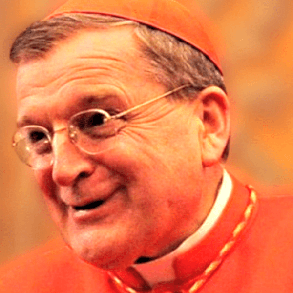 Globalist Pope Targets One other American Conservative Prelate – Cardinal Burke Is…