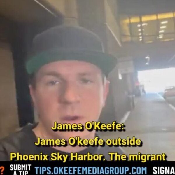 DEVELOPING: O’Keefe Media Group Interviews Bus Driver Dropping Off Unlawful Aliens at…