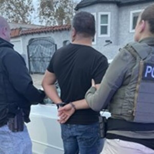 ICE Arrests 26 Unlawful Alien Intercourse Offenders, Together with Pedophiles, in California…