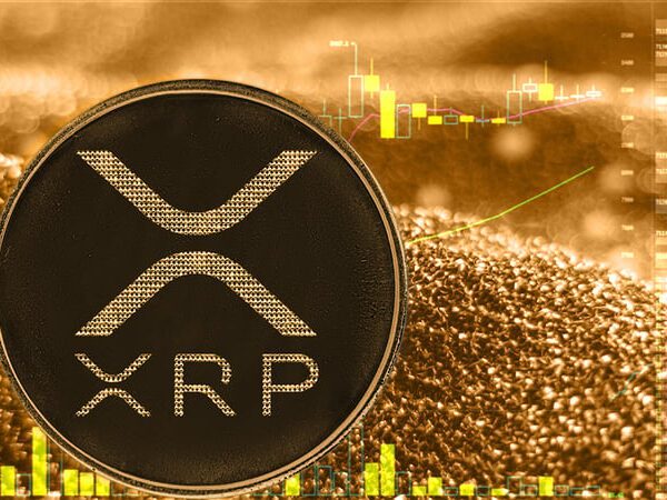 Fashionable Analyst Predicts XRP Value to Rally Over 2000% Based mostly on…