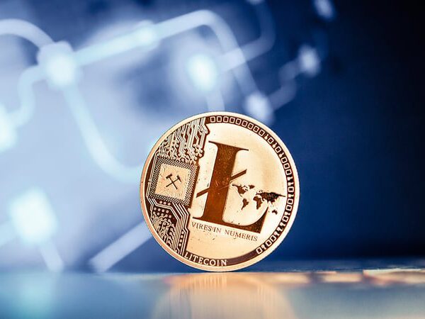 Lively Addresses on Litecoin Community Attain File Excessive 4 Months after LTC…