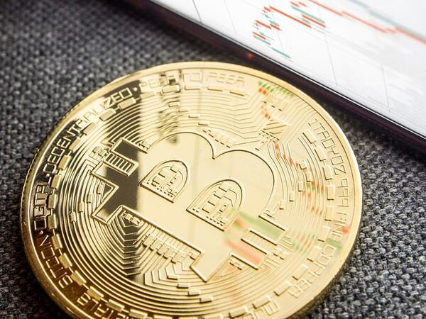 Bitcoin Value May Hit $1,000,000 by 2029, Says Perianne Boring
