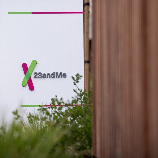 23andMe says hackers accessed ‘vital quantity’ of recordsdata about customers’ ancestry