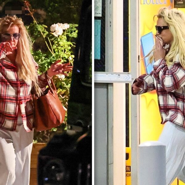 Britney Spears Rushes to Vet in Medical Emergency Throughout Birthday Celebration