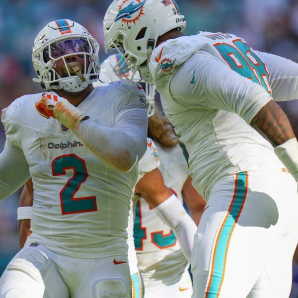The Miami Dolphins should be an excellent group