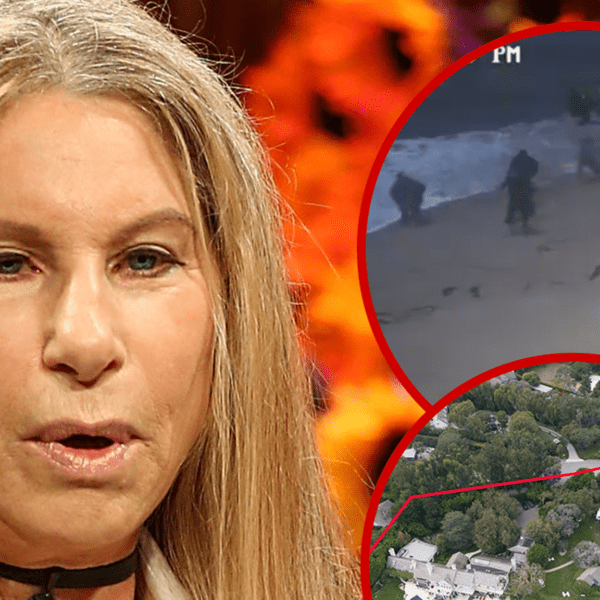 Migrant Boat Reportedly Washed Ashore Close to Barbra Streisand’s Malibu House