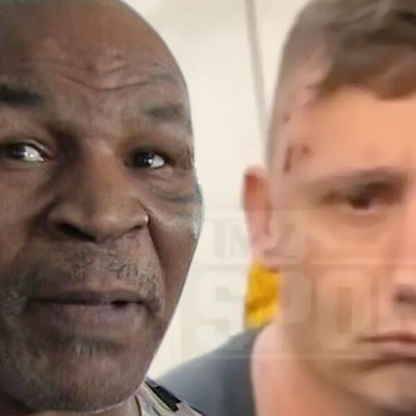 Mike Tyson Aircraft Punch Sufferer Calls for $450K, Boxer’s Lawyer Calls It…