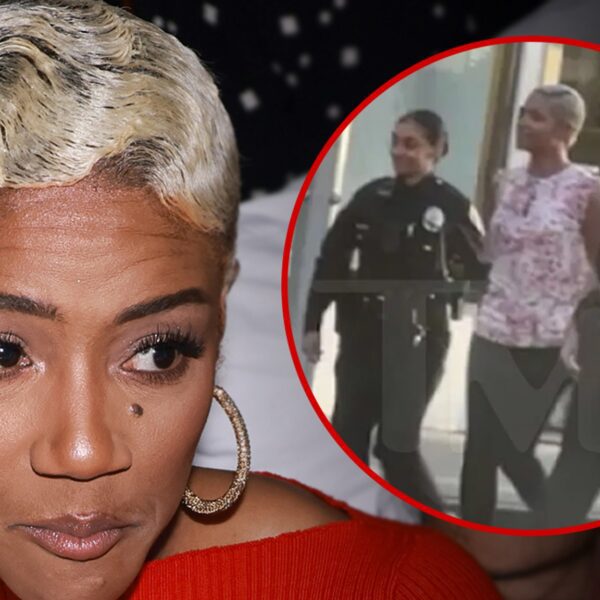 Tiffany Haddish Pleads Not Responsible to DUI in Los Angeles