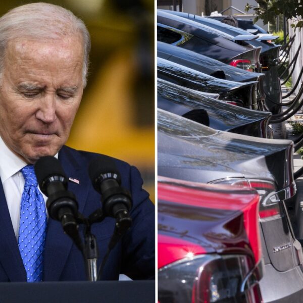 Some Democrats be part of Republicans in voting to strike down Biden’s…