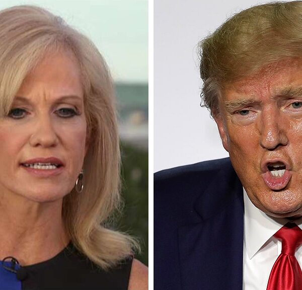 Media will attempt something to eliminate Trump earlier than 2024: Kellyanne Conway