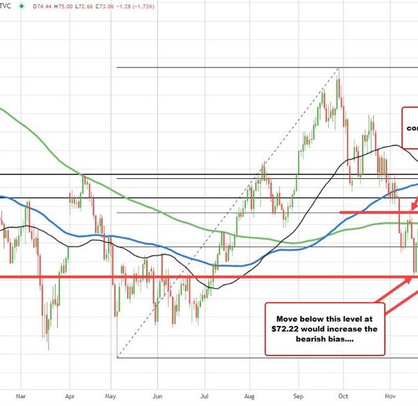 Crude oil futures settle at $73.04, signaling a extra bearish bias