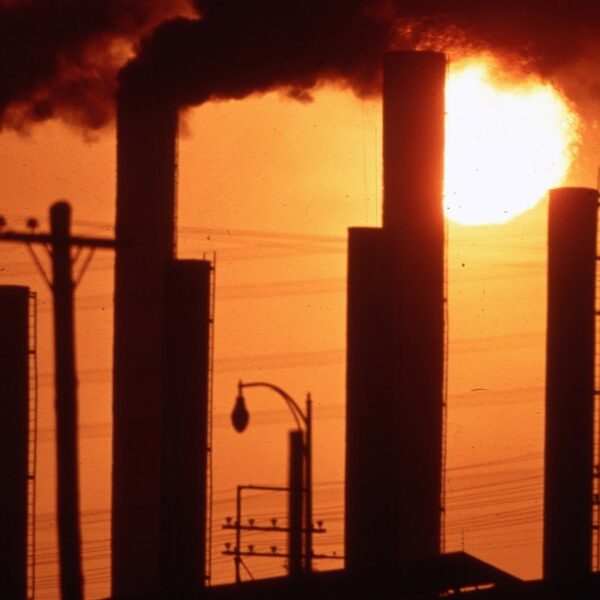 Worldwide carbon emissions from fossil fuels will hit a brand new hit…