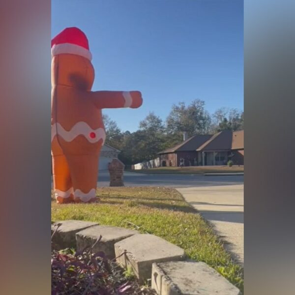 Christmas inflatable hilariously chases Florida supply driver
