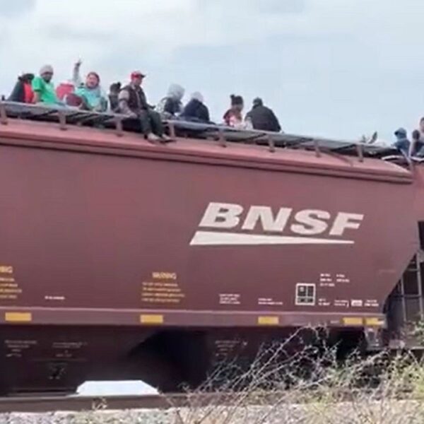 Nebraska Sen. Fischer slams ‘extremely troubling’ border railway operations suspension: ‘financial disaster’