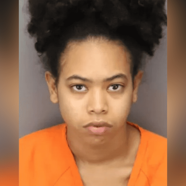 Florida girl allegedly hit boyfriend with Christmas tree throughout argument