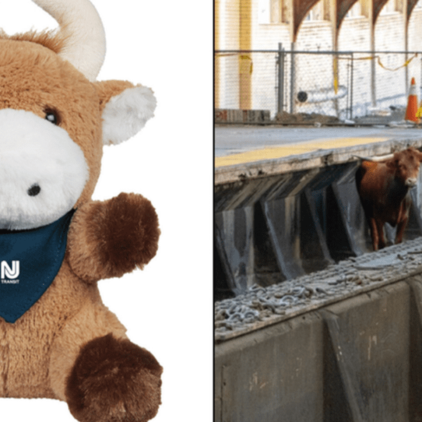New Jersey Transit promoting plush toy of escaped ‘Ricardo the bull’