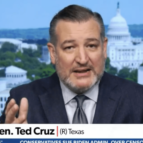 Senator Ted Cruz: ‘No person Pays Thousands and thousands of {Dollars} to…
