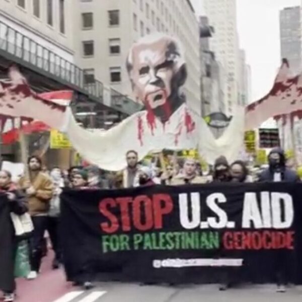 Palestinian Protest Chaos in New York – Professional-Hamas Protesters Interrupt Christmas Procuring…