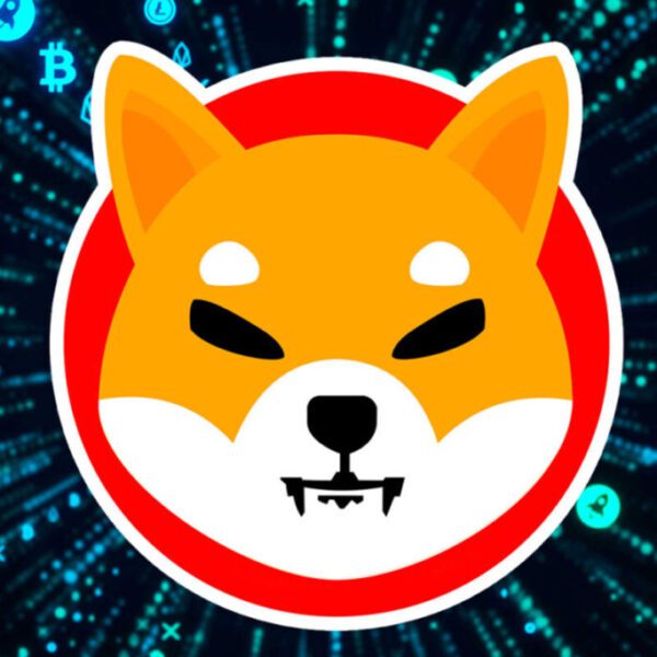 Shiba Inu Will get Listed On Main Japanese Crypto Alternate – Investorempires.com