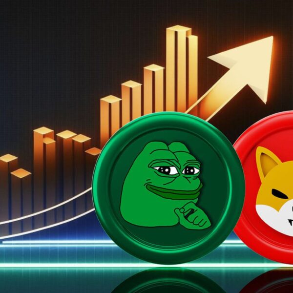Crypto Analyst Predicts Large Strikes For Shiba Inu And PEPE, Right here’s…