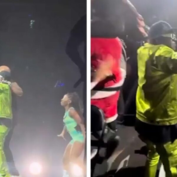 Taste Flav Joins Flo Rida Onstage at Jingle Ball, Reunites With Hoopz