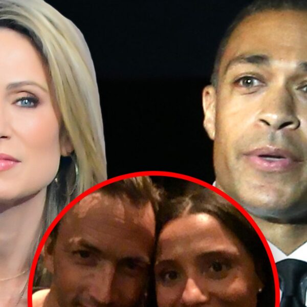 Amy Robach And T.J. Holmes’ Exes Now Relationship, Posted Selfie Collectively in…