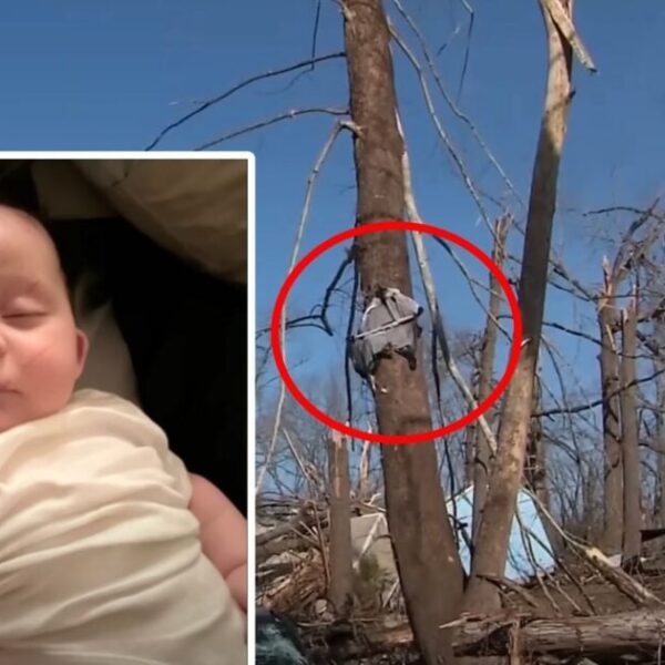 Miracle in Tennessee: 4-Month-Previous Child Discovered Alive in Tree After Being Swept…