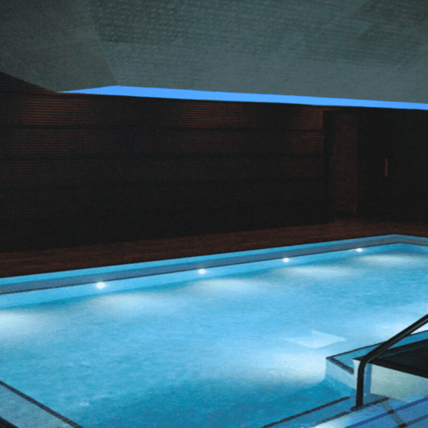 Bathhouse NYC hacks month-to-month $20,000 power payments by heating swimming pools with…
