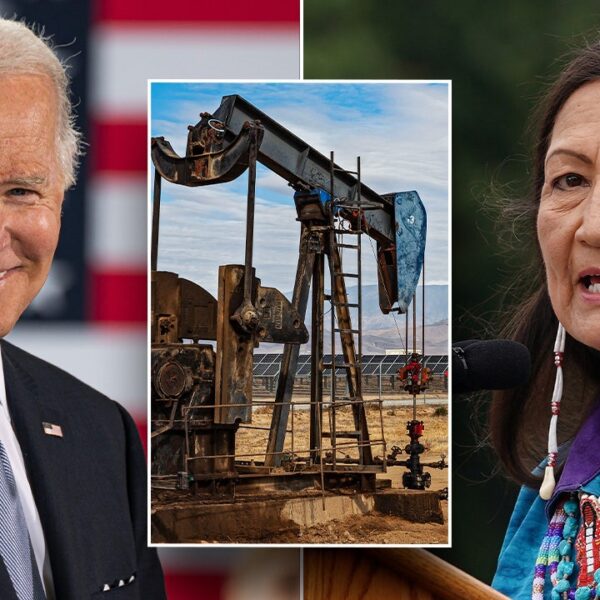 Republicans unleash effort forcing Biden admin to carry oil and gasoline lease…