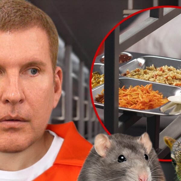 Todd Chrisley’s Jail Defends Meals Service After Lifeless Animal Claims