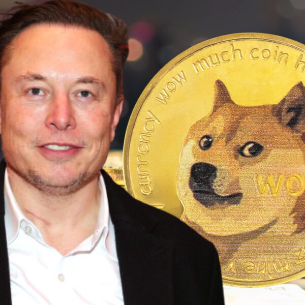 Kraken Co-Founder Backs Elon Musk, Says: We Want Him