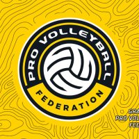 Right here Are the Logos That Professional Volleyball Federation Groups Will Sport…