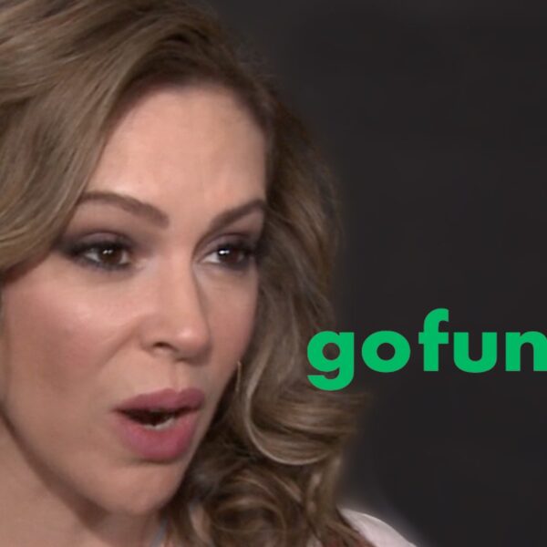 Alyssa Milano Dragged for Making an attempt to Fundraise for Son’s Baseball…