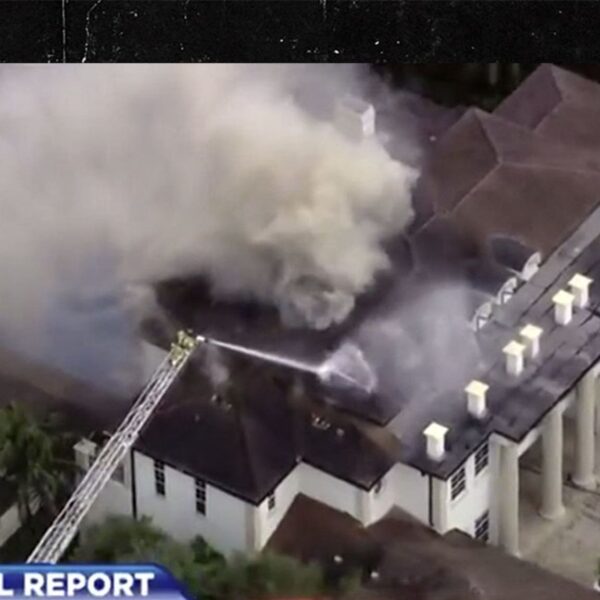 Tyreek Hill’s Florida House Catches On Fireplace, Rescue Crews Working To Douse…