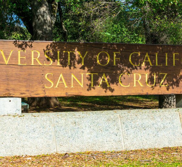 Lawsuit Difficult College of California’s D.E.I. Statements Is Tossed