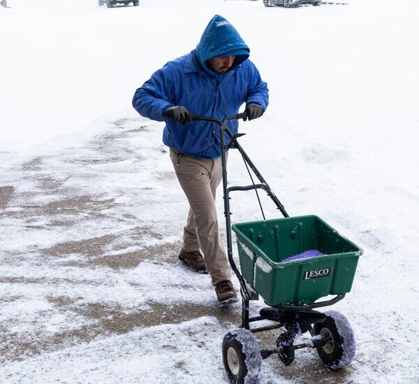 Biting Chilly Hits South With Unfamiliar Freeze, as A number of States…