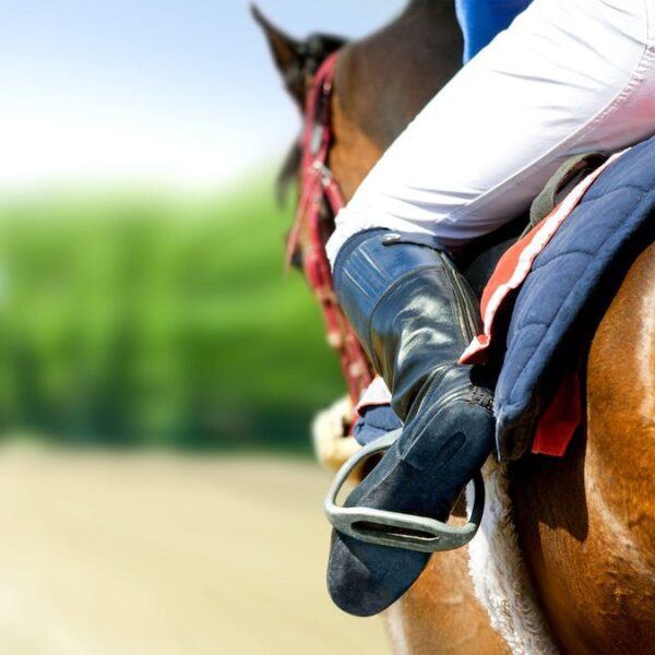 Racehorse checks optimistic for meth