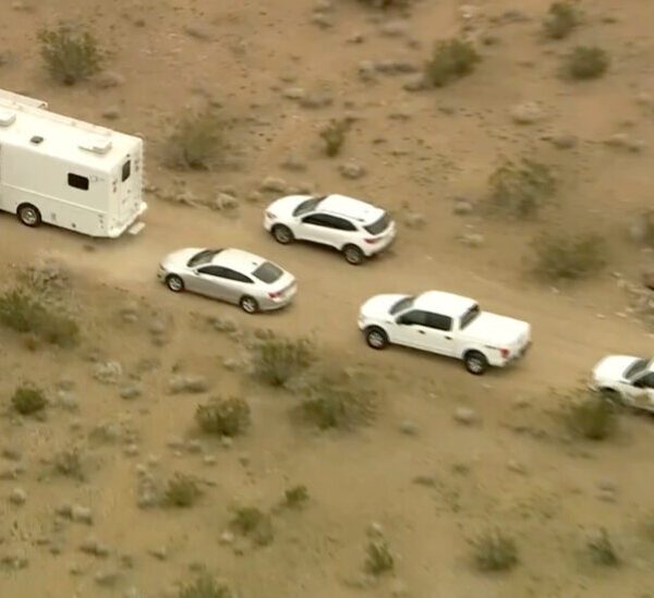 5 Males Arrested in Mojave Desert Killings That Remained a Thriller for…