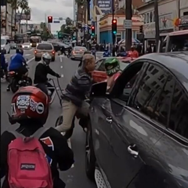 Ian Ziering Bike Brawl, New Video Exhibits Ian Began the Struggle