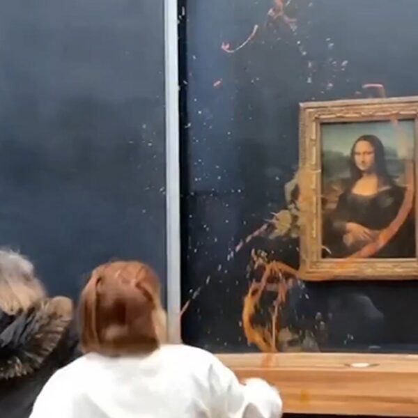Mona Lisa hit by Protesters Who Threw Soup on Famed Portray at…