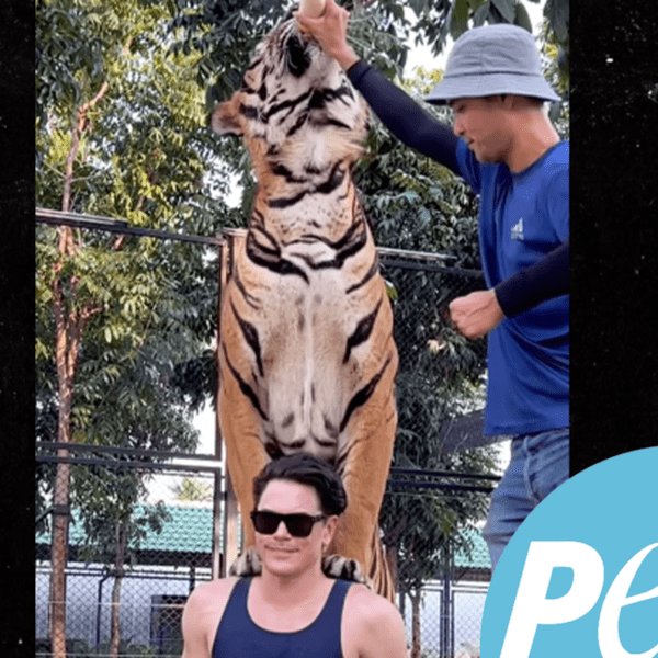 Tom Sandoval Scolded by PETA for Posing with Tiger at Thailand Zoo