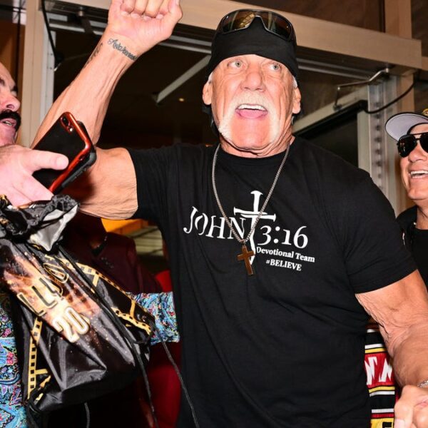 Hulk Hogan says he used pen to free lady from overturned automobile