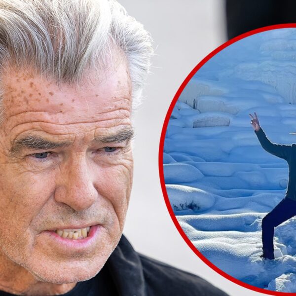 Pierce Brosnan Pleads Not Responsible to Unlawful Climbing Prices