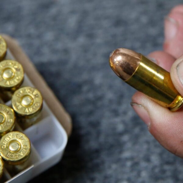 Washington state Democrats suggest further tax for ‘privilege of using ammunition’