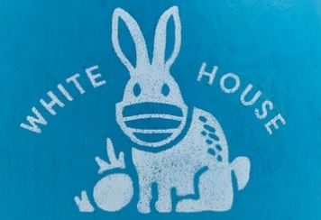 Spiritual Themes Banned in Jill Biden’s White Home Easter Egg Contest for…