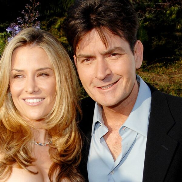 Charlie Sheen to get full custody of twins with Brooke Mueller if…