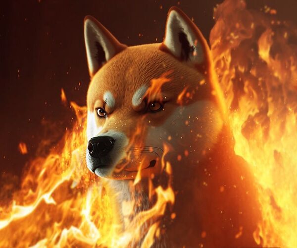 Dogecoin Rivals Shiba Inu And FLOKI Report Huge Surges In Burn Price