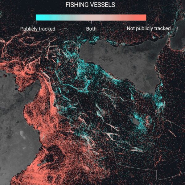 Satellite tv for pc imagery evaluation exhibits immense scale of darkish fishing…