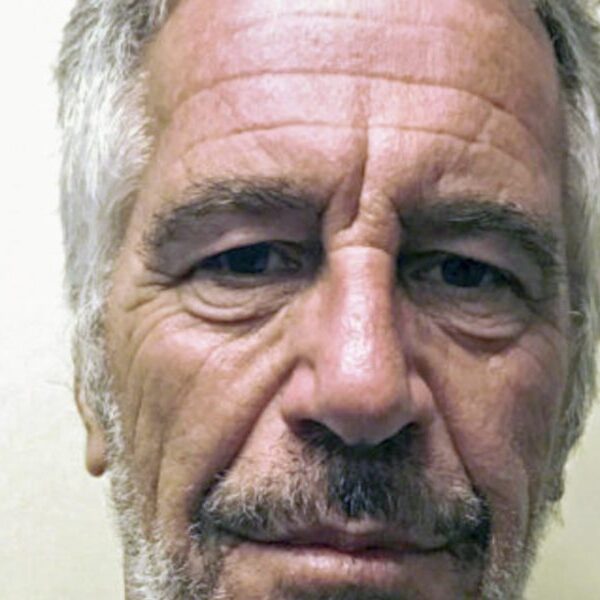 Jeffrey Epstein paperwork are unsealed after a years-long battle over their launch